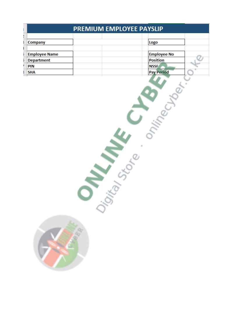 Preview of Payslip Template (Excel)